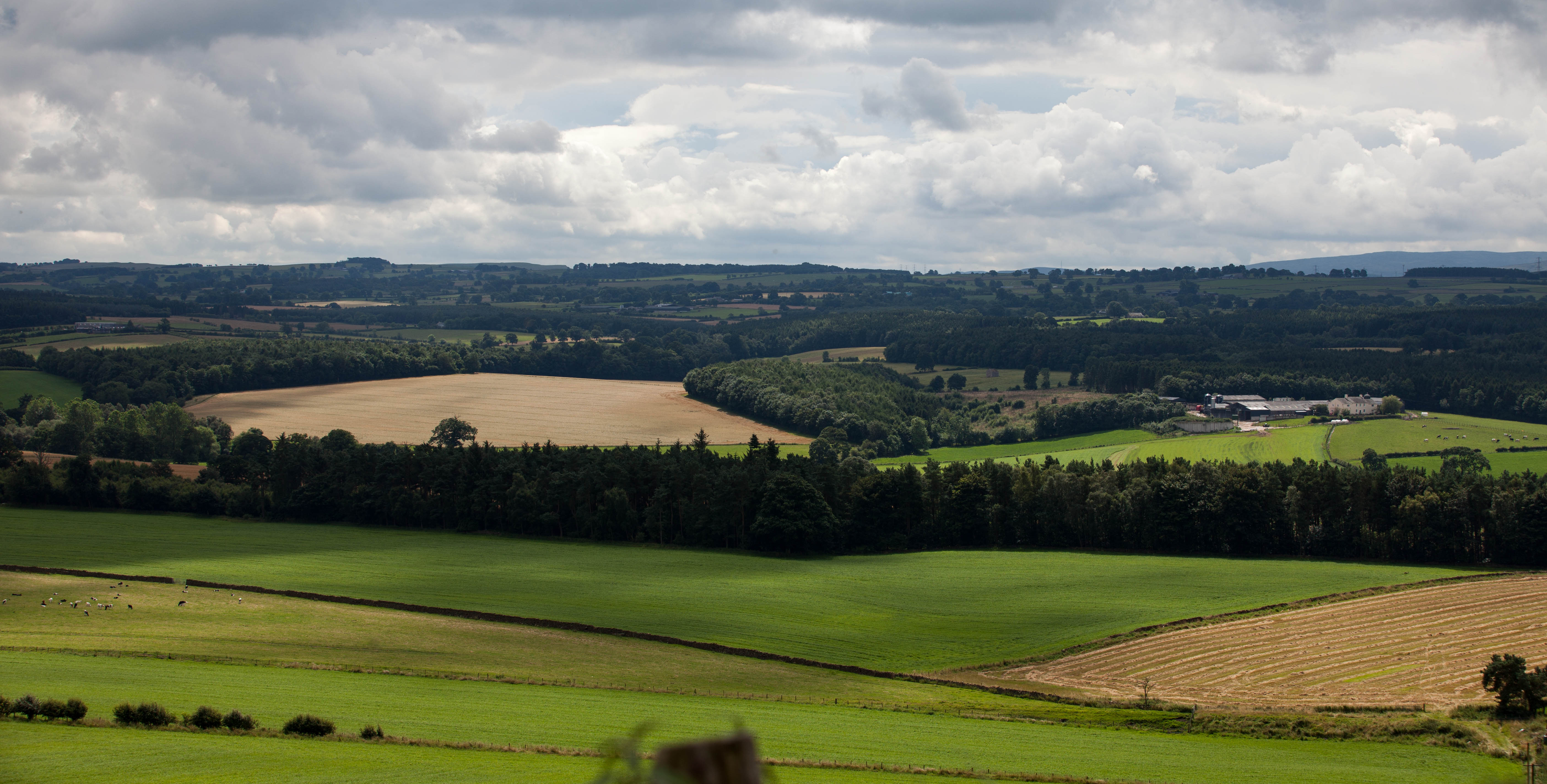 Landscape in Cumbria