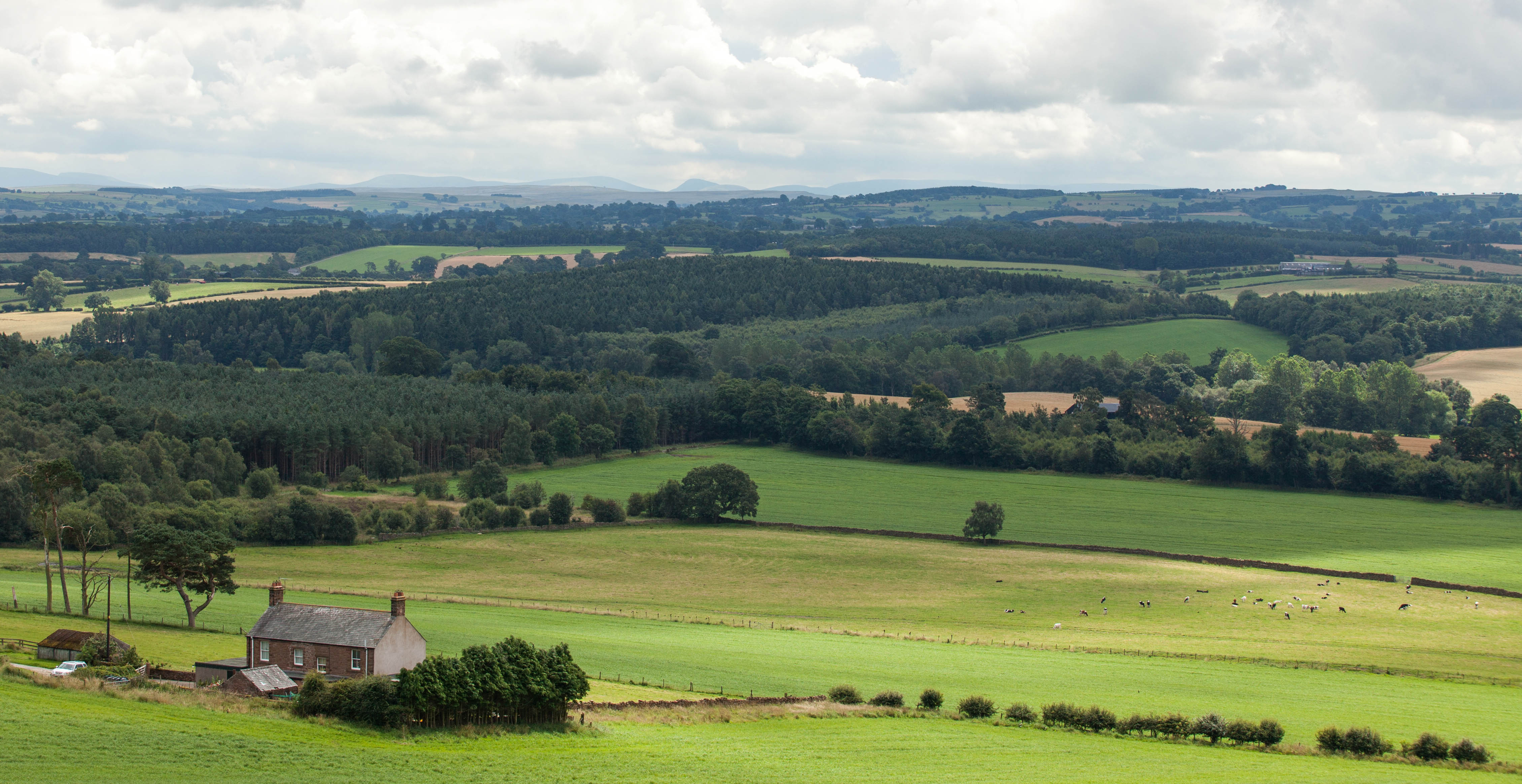 Landscape in Cumbria